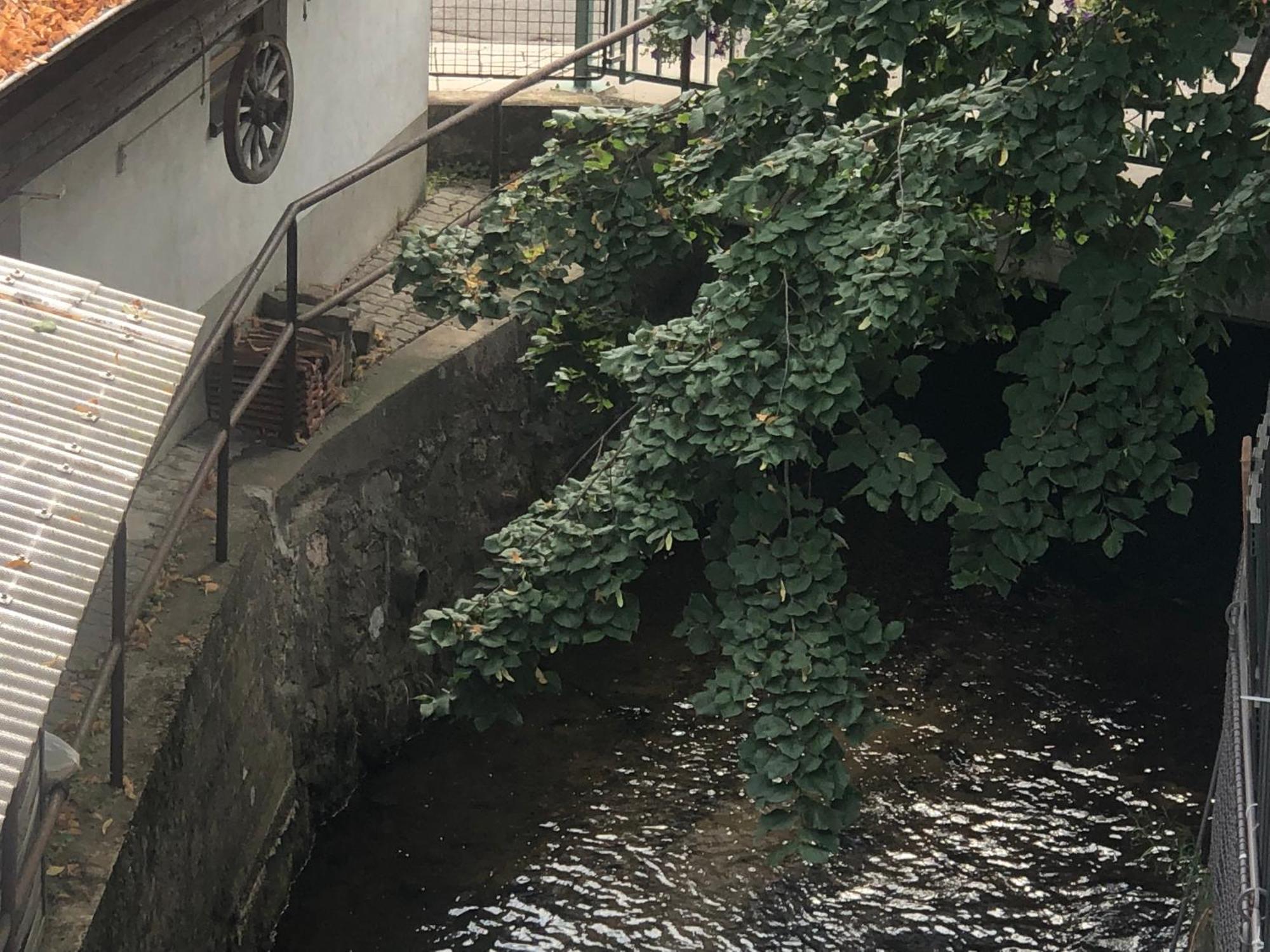 Linde Oberachern Cameră foto