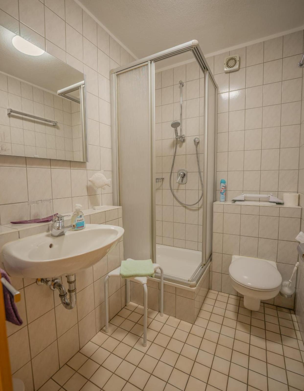 Linde Oberachern Cameră foto